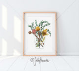 Banksia and Silver Dollar, Limited Edition Signed Fine Art Print