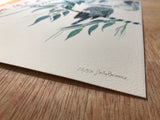 Sulphur Crested Cockatoo Rain, Limited Edition Signed Fine Art print