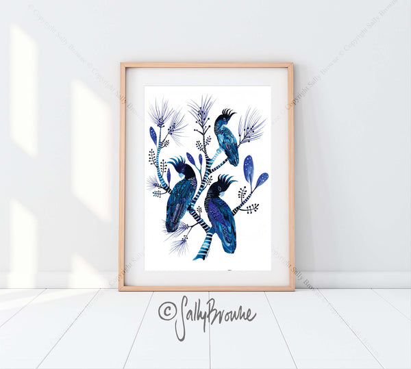 Indigo Cockatoos & Banksia Pines, Limited Edition Signed Fine Art print