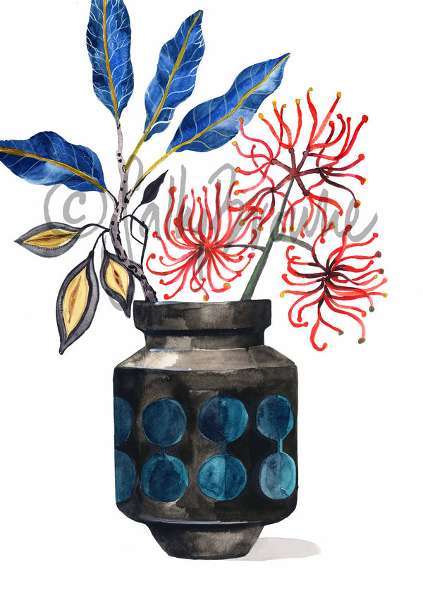 Stenocarpus Firewheel in Retro Vase, Limited Edition Signed Fine Art Print