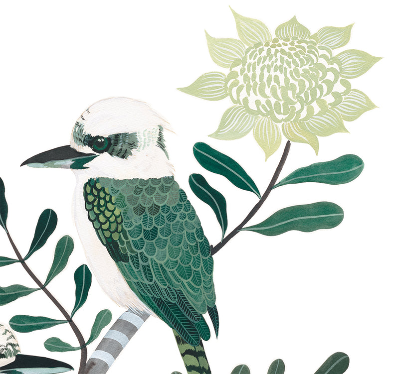 Telopea Kookaburras, Limited Edition Signed Fine Art print