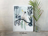 Sulphur Crested Cockatoo Rain, Limited Edition Signed Fine Art print