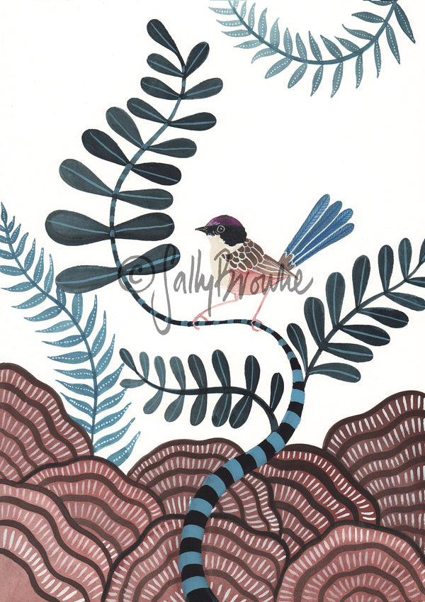Purple Crowned Fairy Wren, Limited Edition Signed Fine Art Print