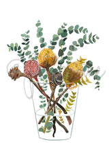 Banksia and Silver Dollar, Limited Edition Signed Fine Art Print