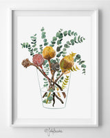 Banksia and Silver Dollar, Limited Edition Signed Fine Art Print