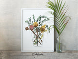 Banksia and Silver Dollar, Limited Edition Signed Fine Art Print