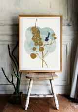 Kawaii Fairy Wren and Stephania, Limited Edition Signed Fine Art Print