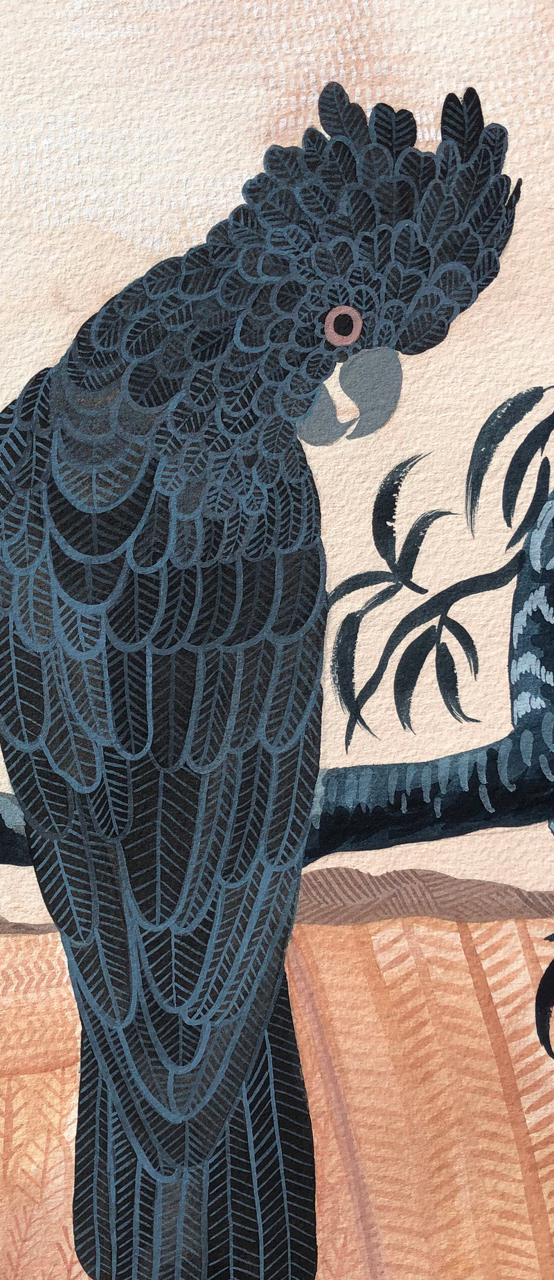 Black Cockatoos at Dusk, Limited Edition Signed Fine Art Print.