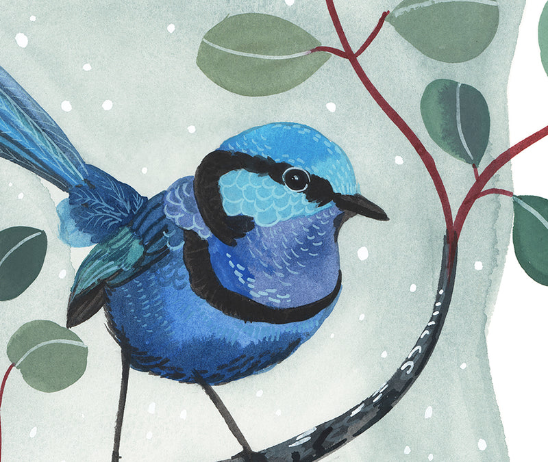 Splendid Fairy Wren and Silver Dollar Eucalyptus, Limited Edition Signed Fine Art Print