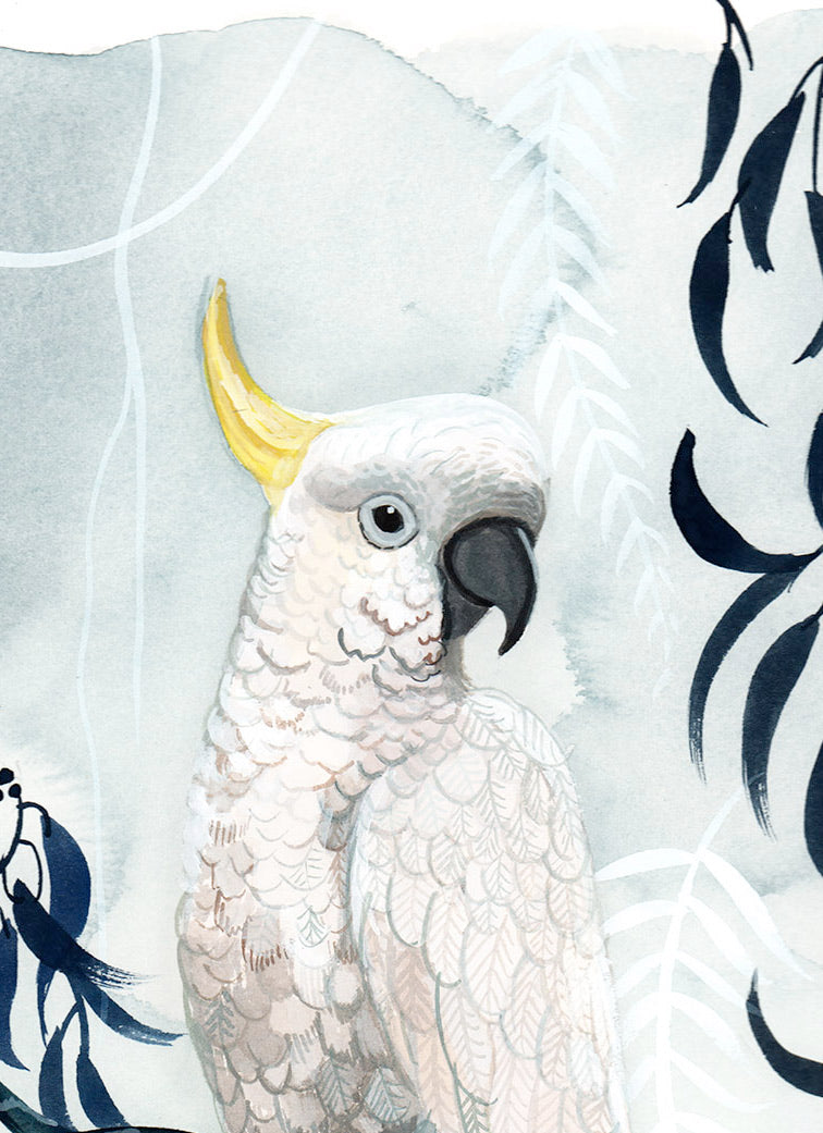 Sulphur Crested Cockatoo Rain, Limited Edition Signed Fine Art print