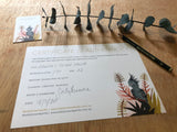 Kawaii Fairy Wren and Stephania, Limited Edition Signed Fine Art Print
