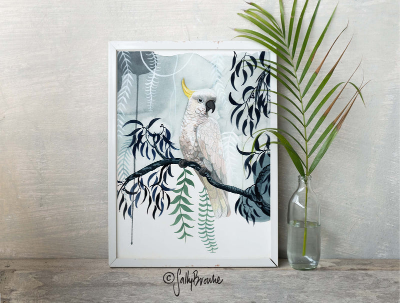 Sulphur Crested Cockatoo Rain, Limited Edition Signed Fine Art print